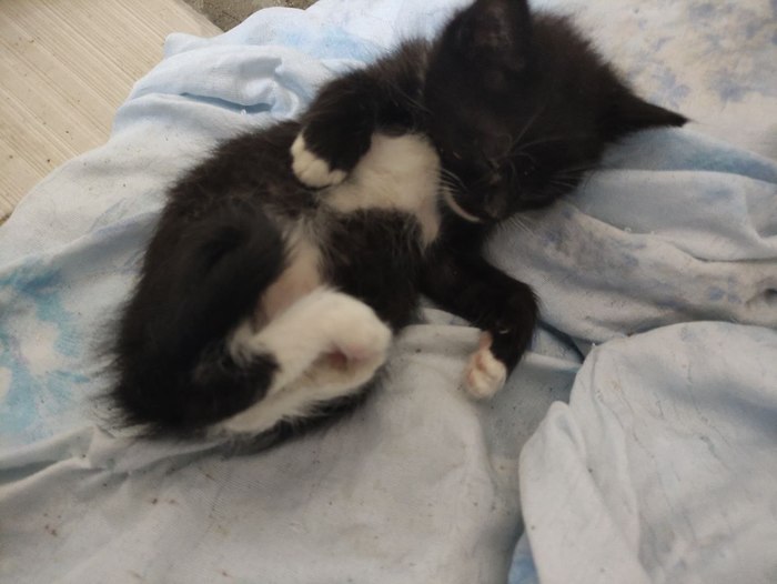       , , -, 