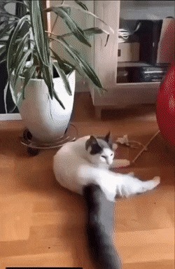      , , , 