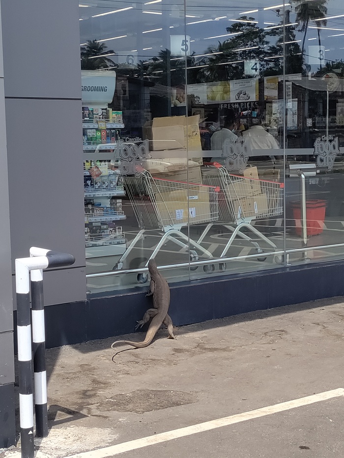 Едов продаете?