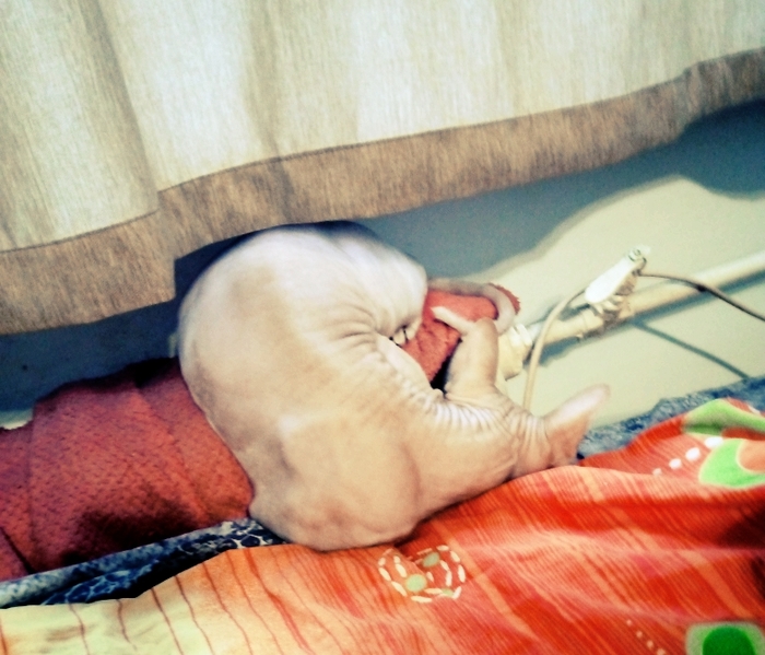 ��� ����� ��������� ��������