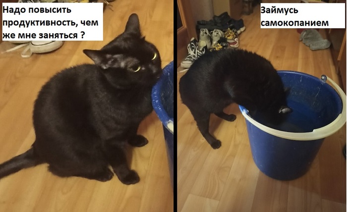 ��� ���� ��������������