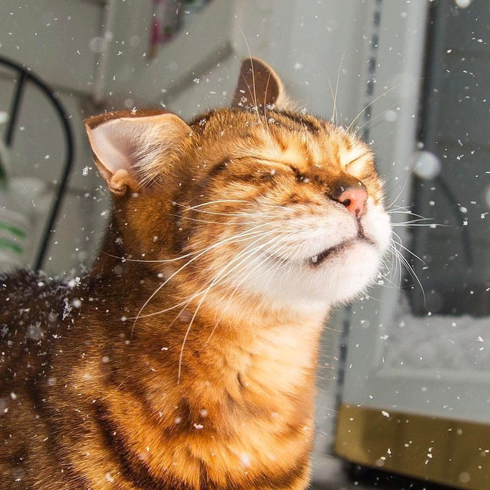 Там опять какие-то новые правила на Пикабу?