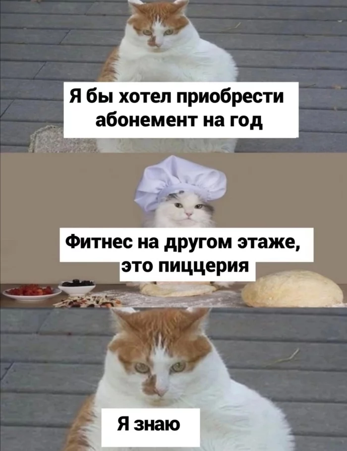 1643782038149755998.webp