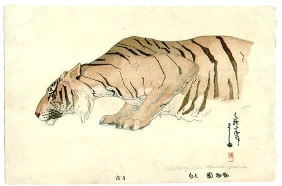 Nippon tiger outlet