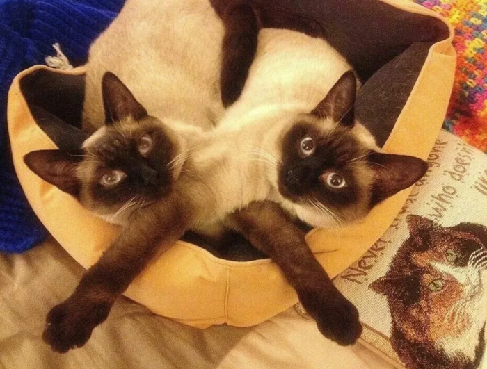   ,  , , , , ,  ,  , 