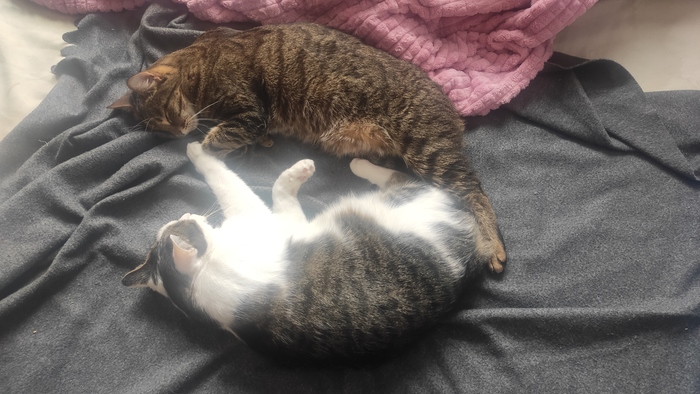 � ���� �����?