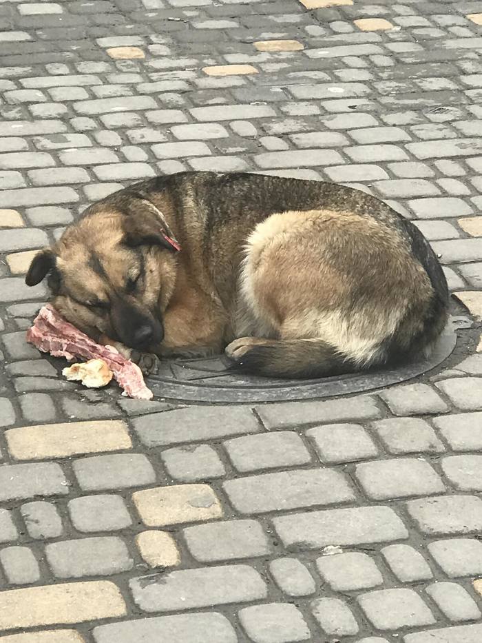 ��������� ���