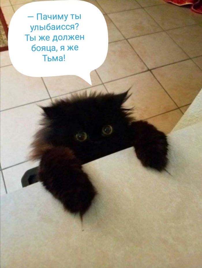   .    ,  , ,   ,  , 
