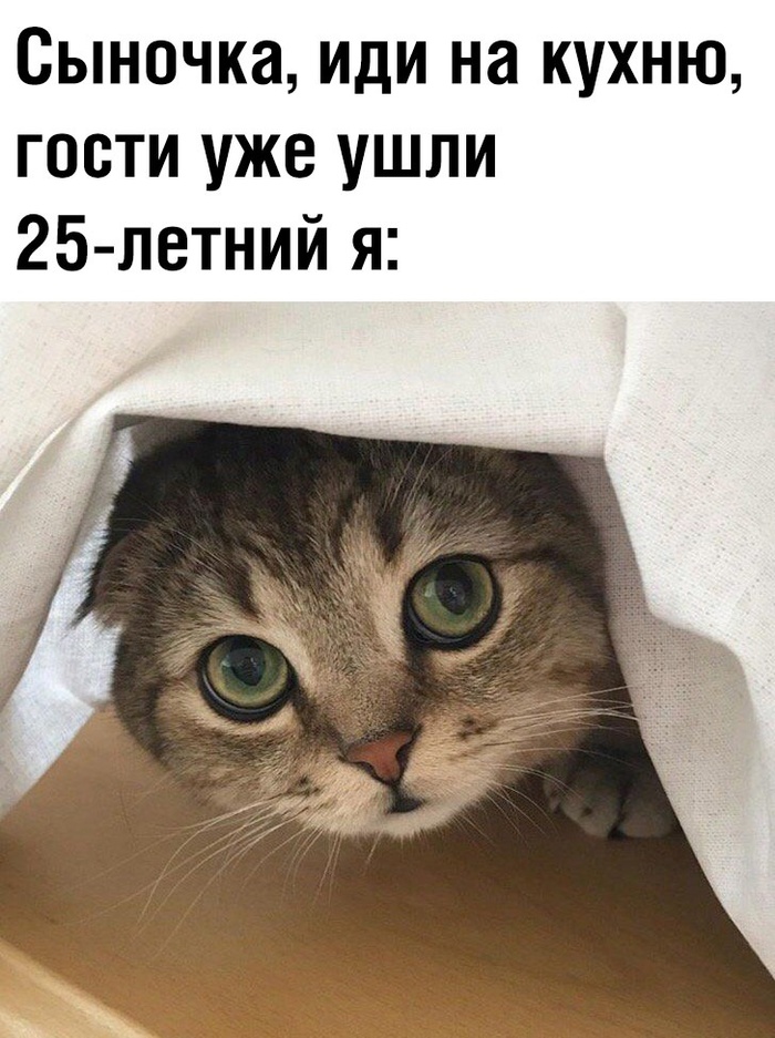    , , , 