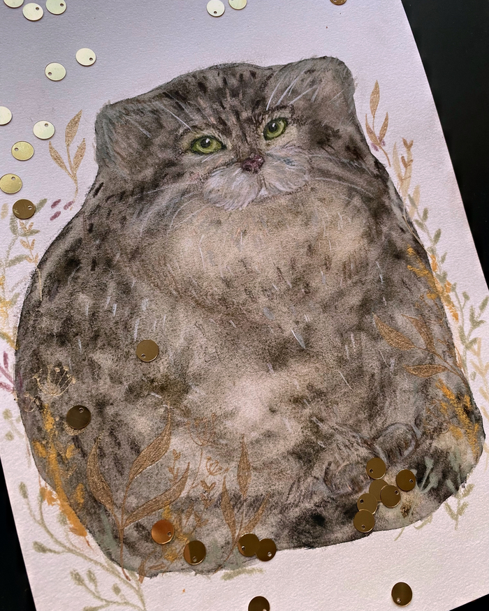 Манул-похититель чужих сердечек