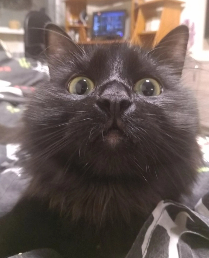 Хочу что то новое. Хочу в IT