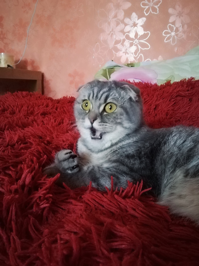   ?! ,  