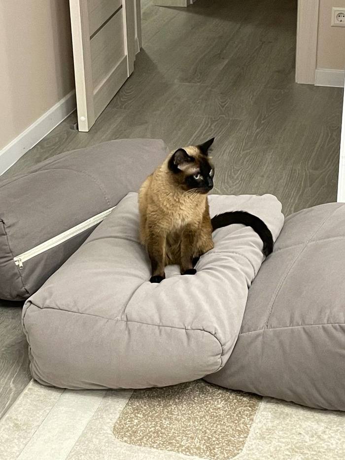 Три подушки, а я один