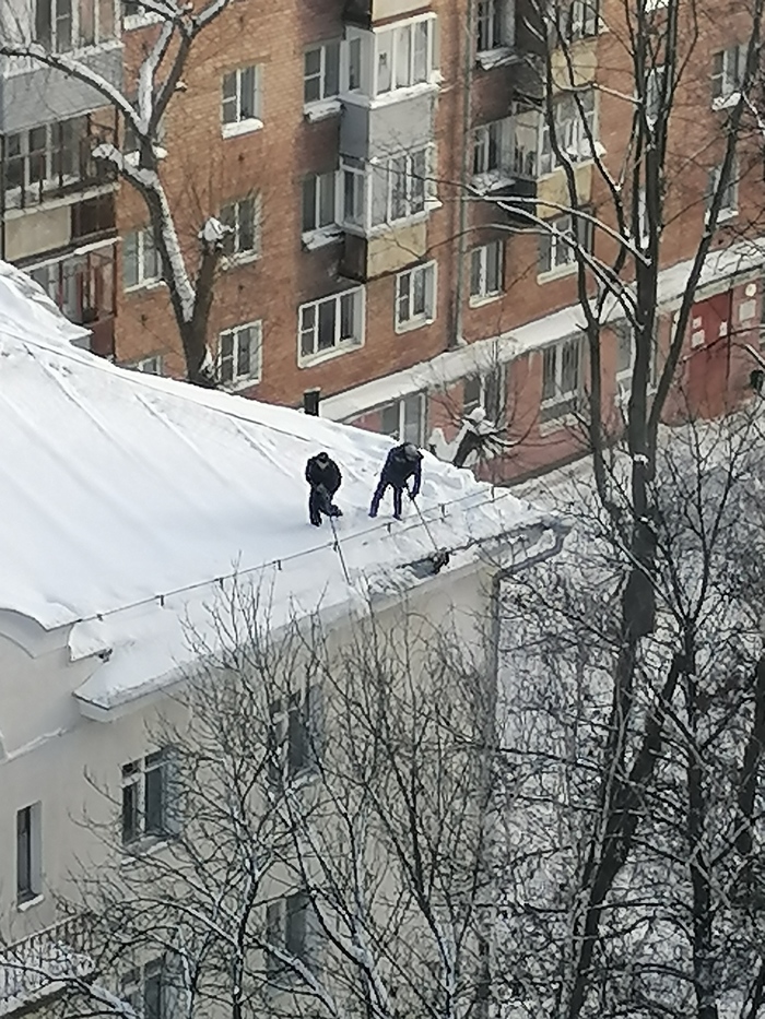 ���������? �� ��������