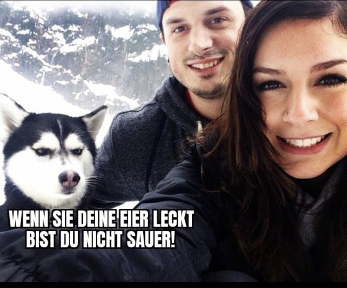 Собак обижен