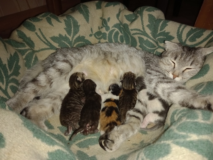 � � ��� ������� ����� ������ ����� �����