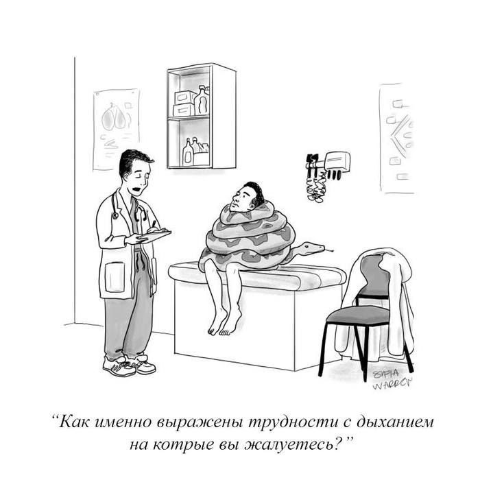     , The New Yorker,  