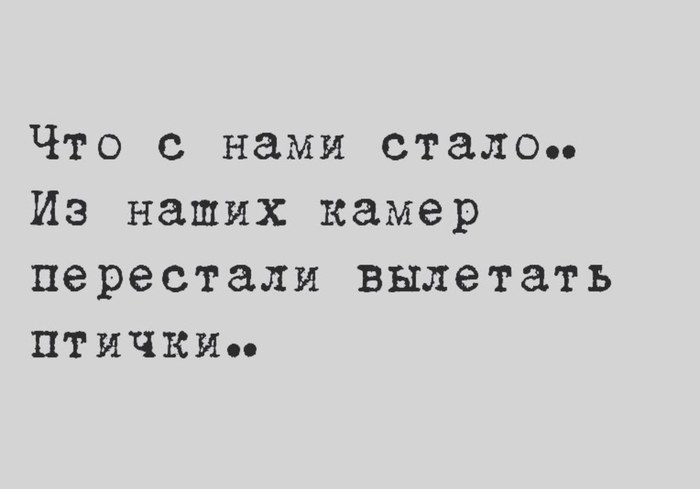 Фотограф пошутил сейчас вылетит птичка схема предложения