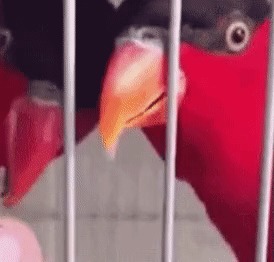   , , , 