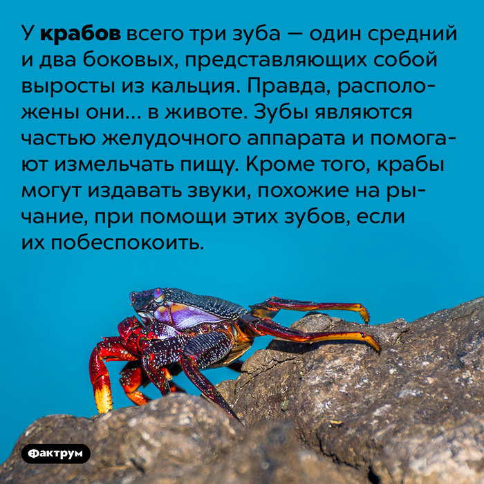     , , , , , 