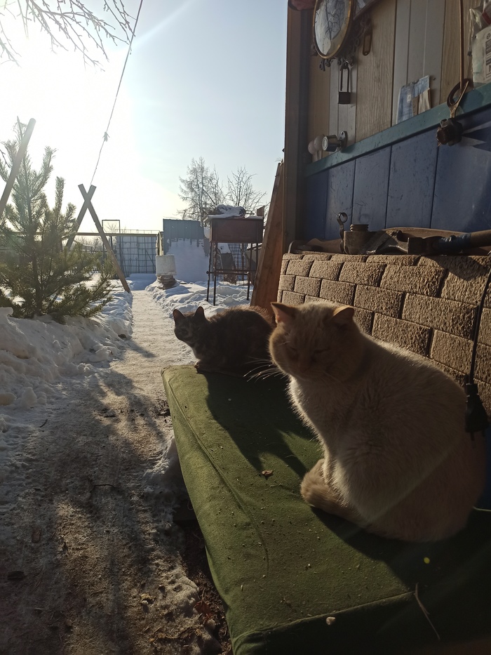 ������� �� ��������...