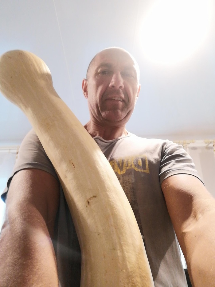 Ниче се, размерчик!