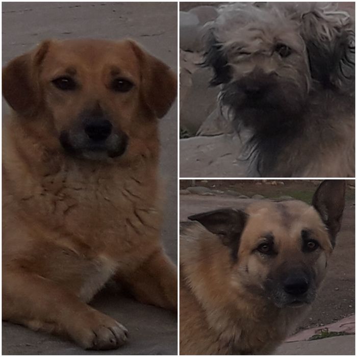 �� ����������� �������