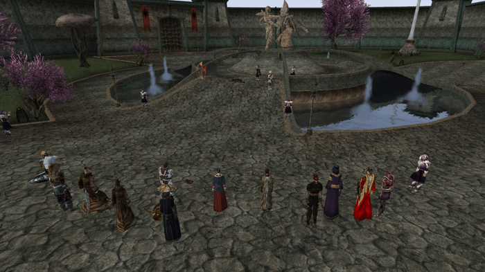    Morrowind Multiplayer  TES3MP 0.8.0 The Elder Scrolls III: Morrowind, Tes3mp, Openmw, The Elder Scrolls, 