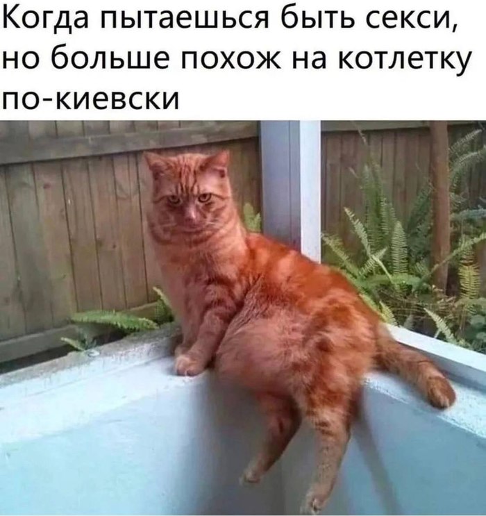  ,   , , ,  ,  