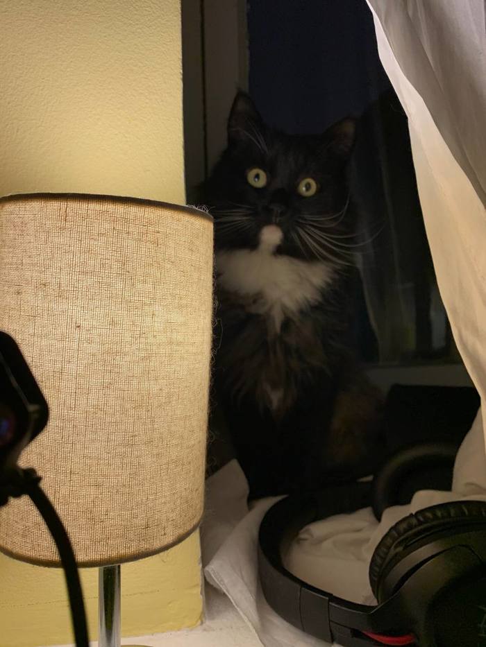 ������� ����� �������� �������