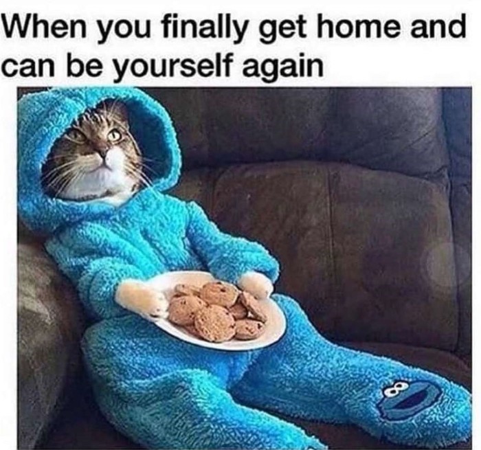    , , ,   , 
