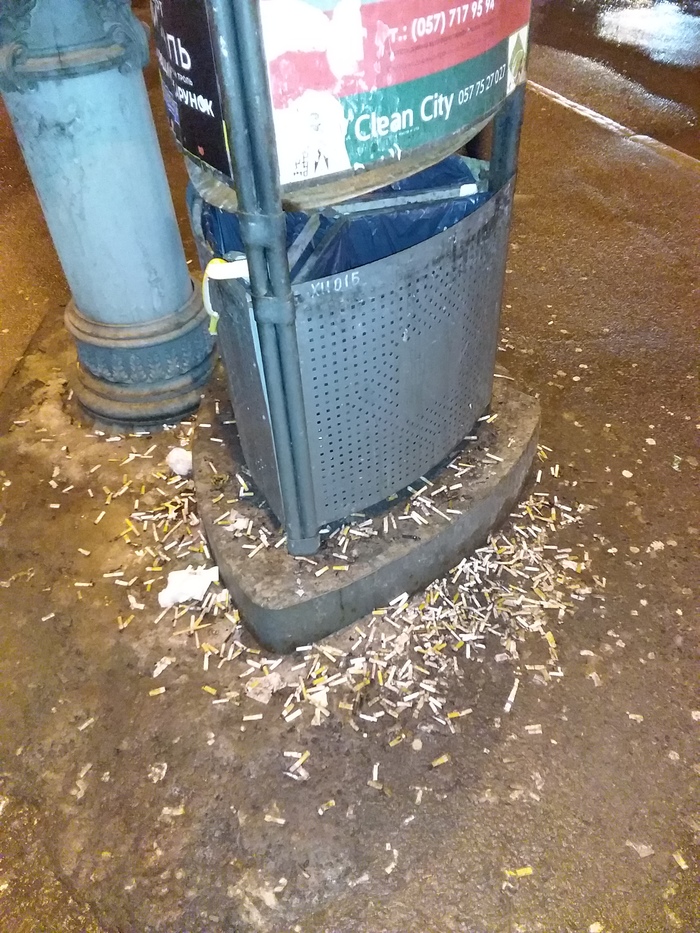 Благодаря тёплой и даже жаркой погоде, сегодня повылезали первые подснежники...