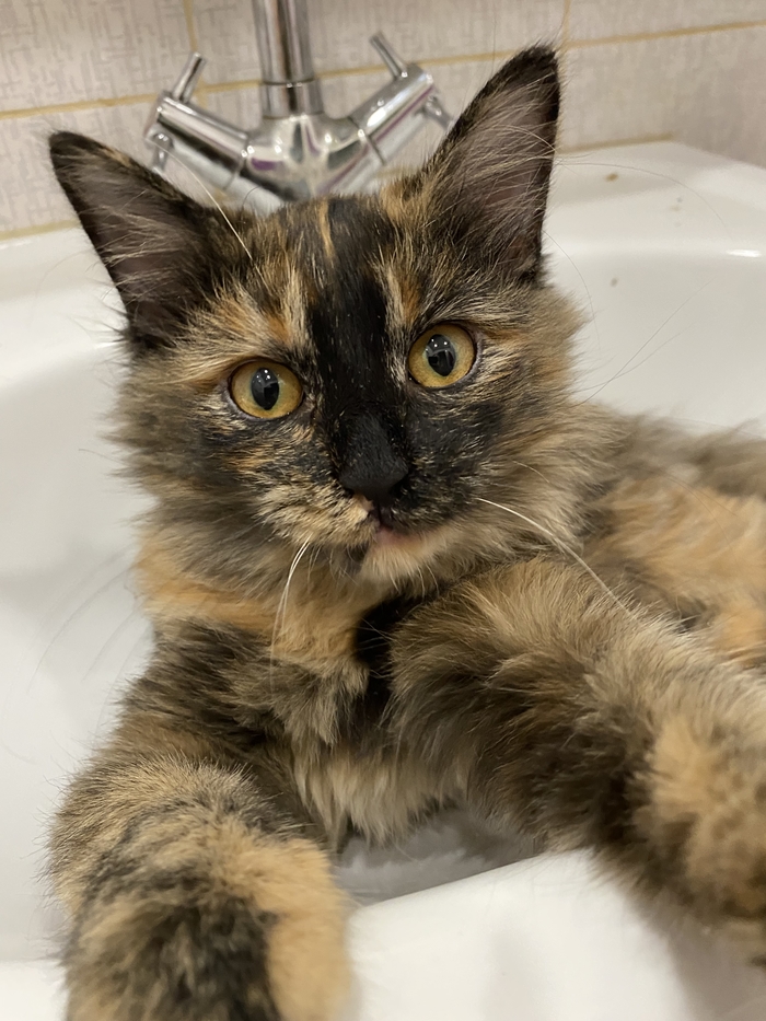 �������� ���������� ������