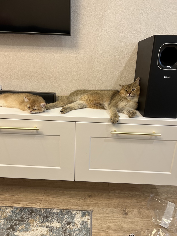 Мне так удобно