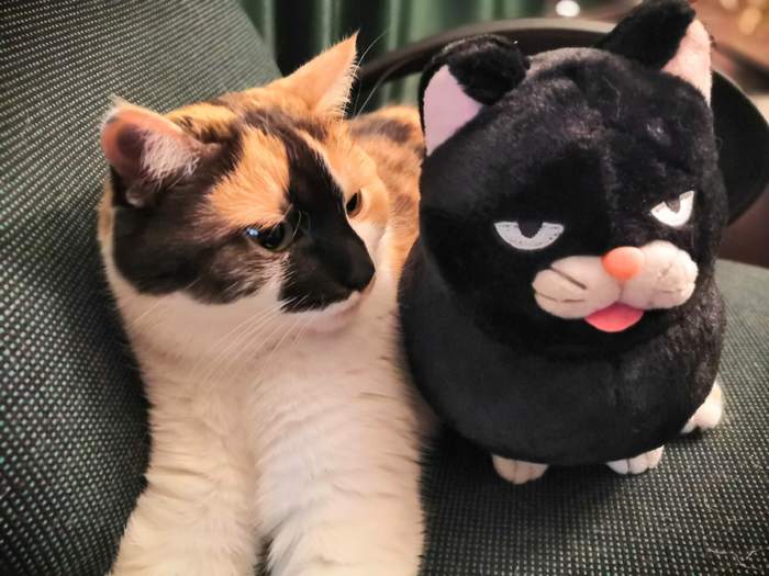 ������������ �������