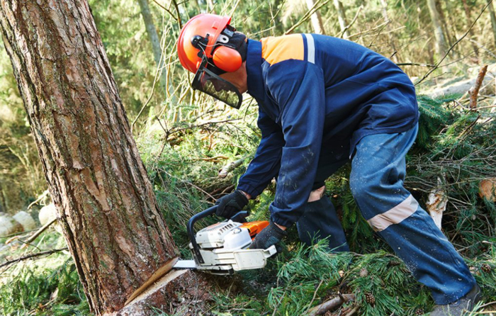 Напилил на 70 млн