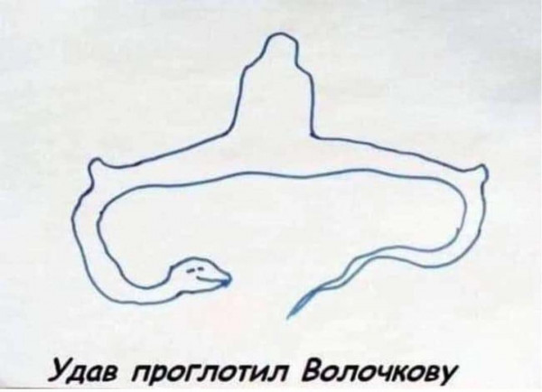 Довольный удав | Пикабу