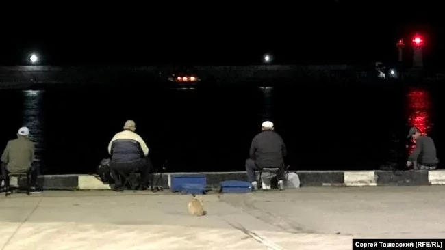 Как рыба-падальщик спасала Черное море. А ихтиолога даже не наградили Познавательно, Черное море, Пеленгас, Рыба, Ихтиология, Азовское море, Средиземное море, Исследования, Длиннопост Как рыба-падальщик спасала Черное море. А ихтиолога даже не наградили Познавательно, Черное море, Пеленгас, Рыба, Ихтиология, Азовское море, Средиземное море, Исследования, Длиннопост