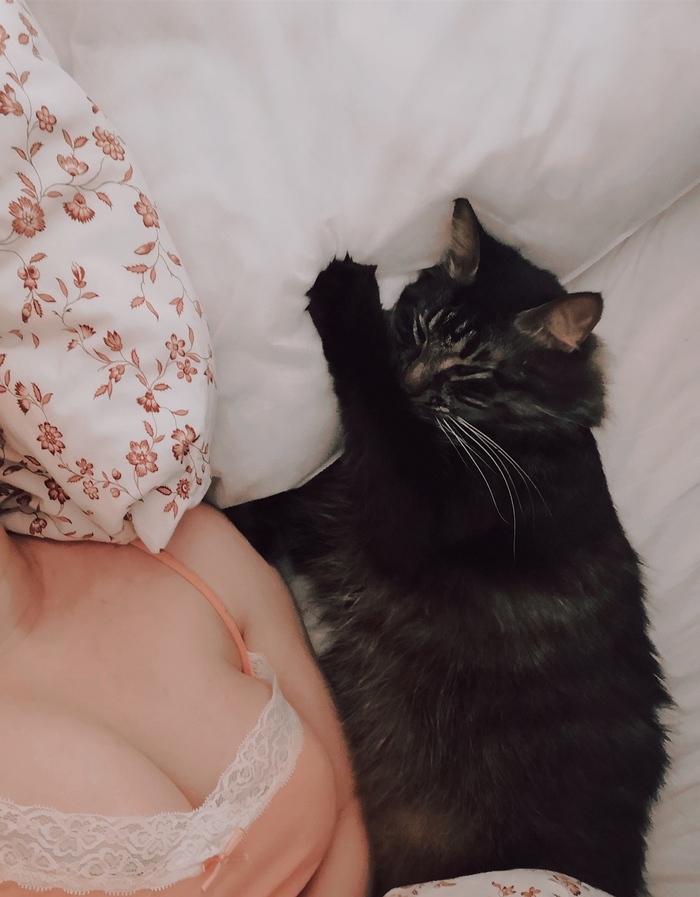 ����� �� ���� ����������� �������� ����� �� �������