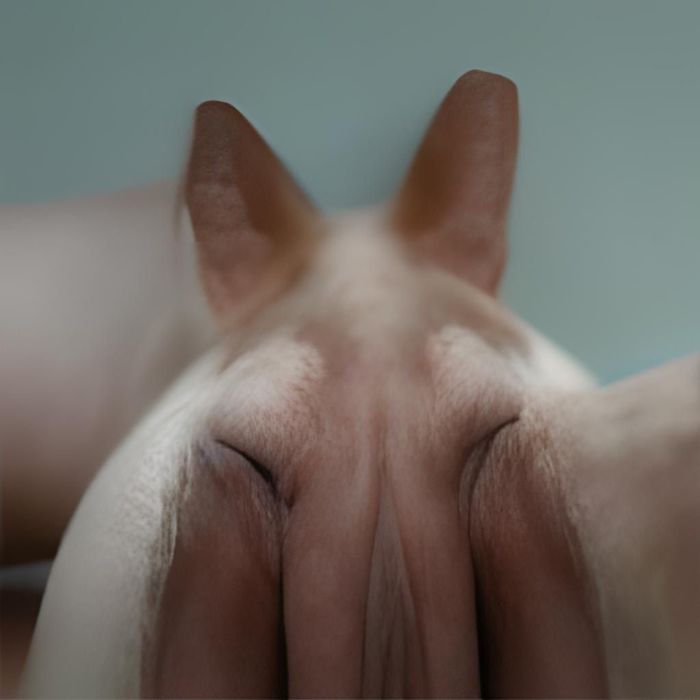 Искуственный интеллект, который мы заслужили