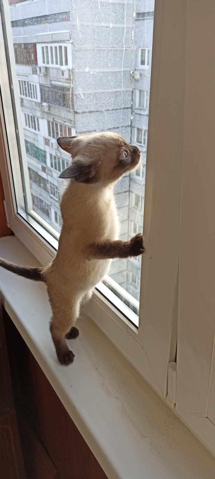 ������! ����� ���!