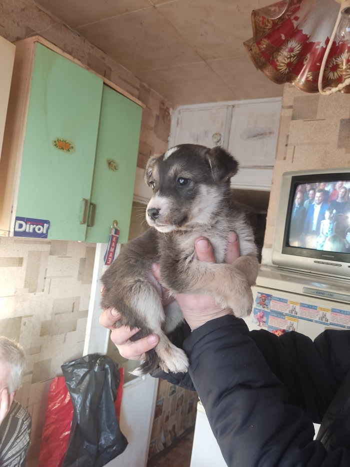 ����� � ������ ����