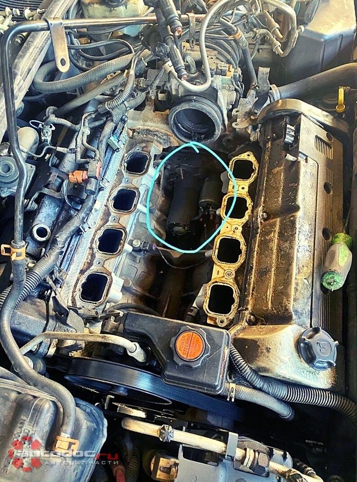 Гдe cпpятaли cтapтeр, чepти...