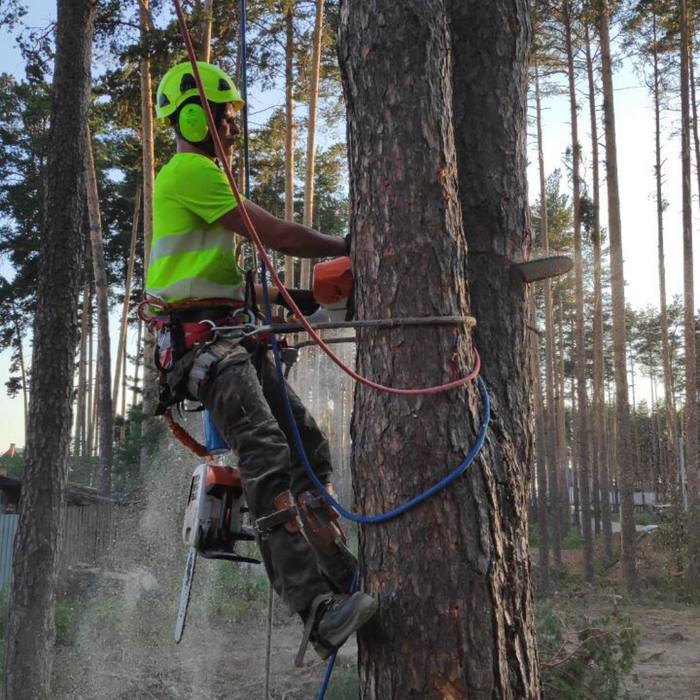 ����� virmark � ��������� �������