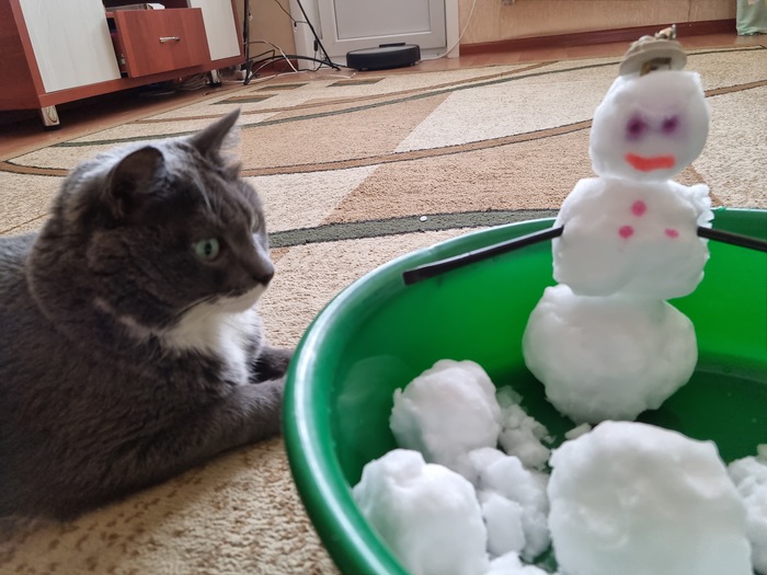 Домашний Снеговик