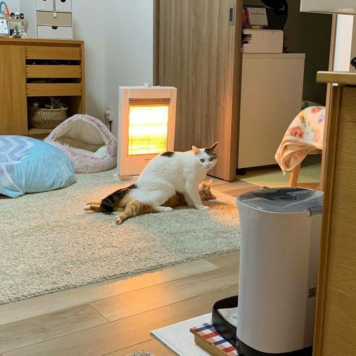 !
