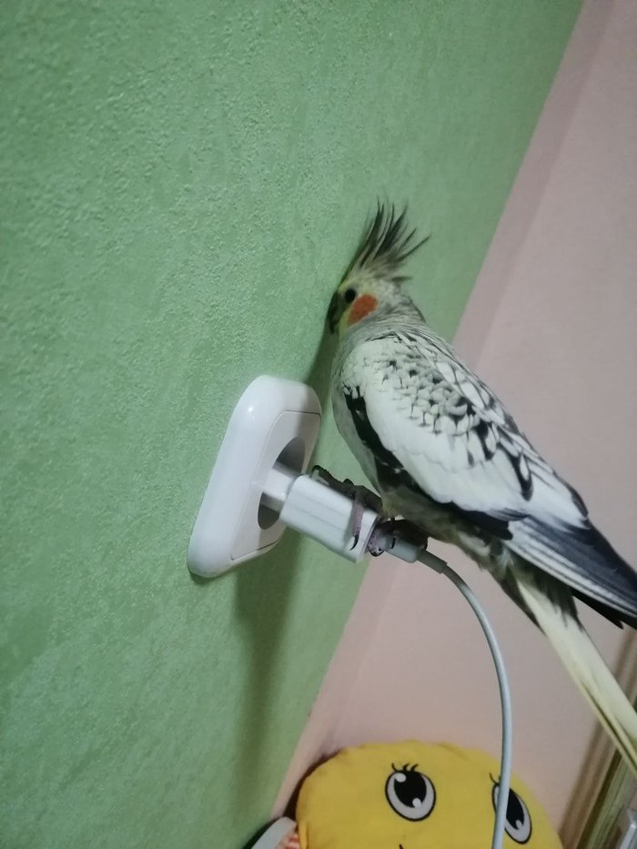 Ой ну вас! я обиделась!