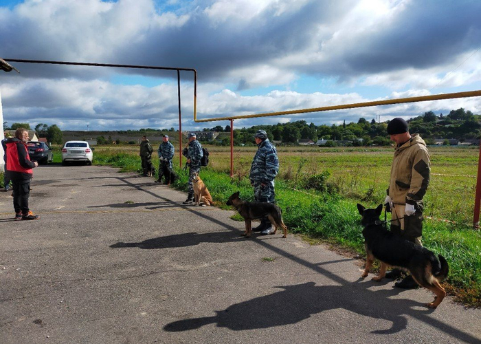 Преступление шестнадцатилетней давности Лиза Алерт, МВД, Уголовное дело, Убийство, Криминал, Следственный комитет, Орловская область, Добровольцы, Длиннопост, Негатив
