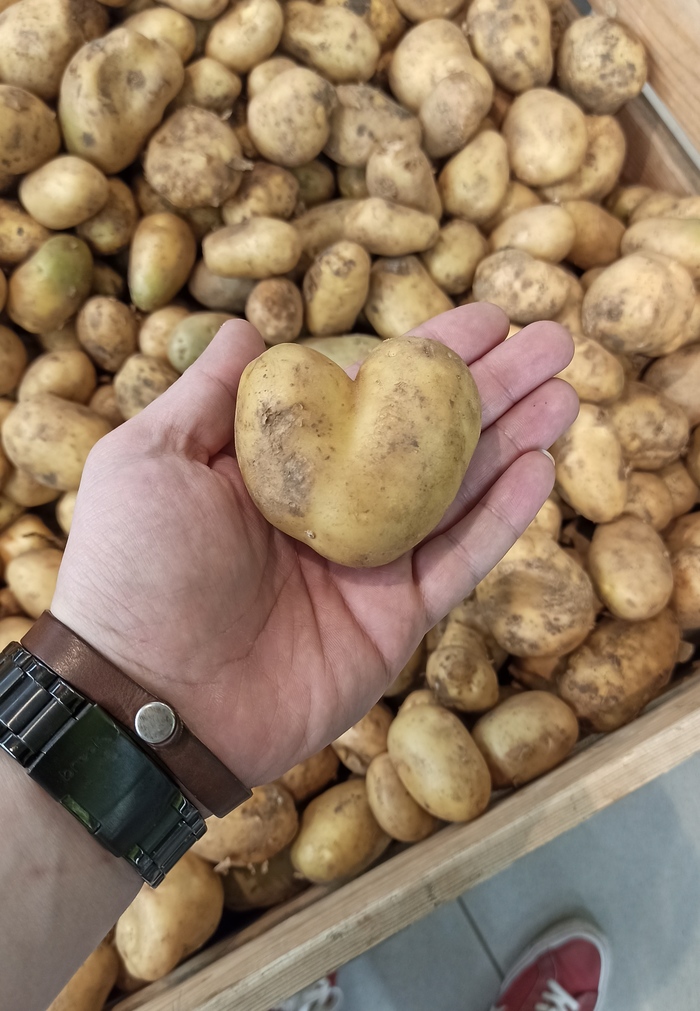 ������������ ����������