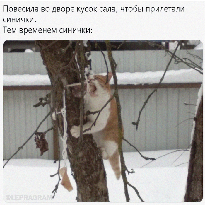 �������� �������